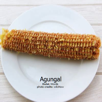busali in tagalog|BUSAL (Tagalog).